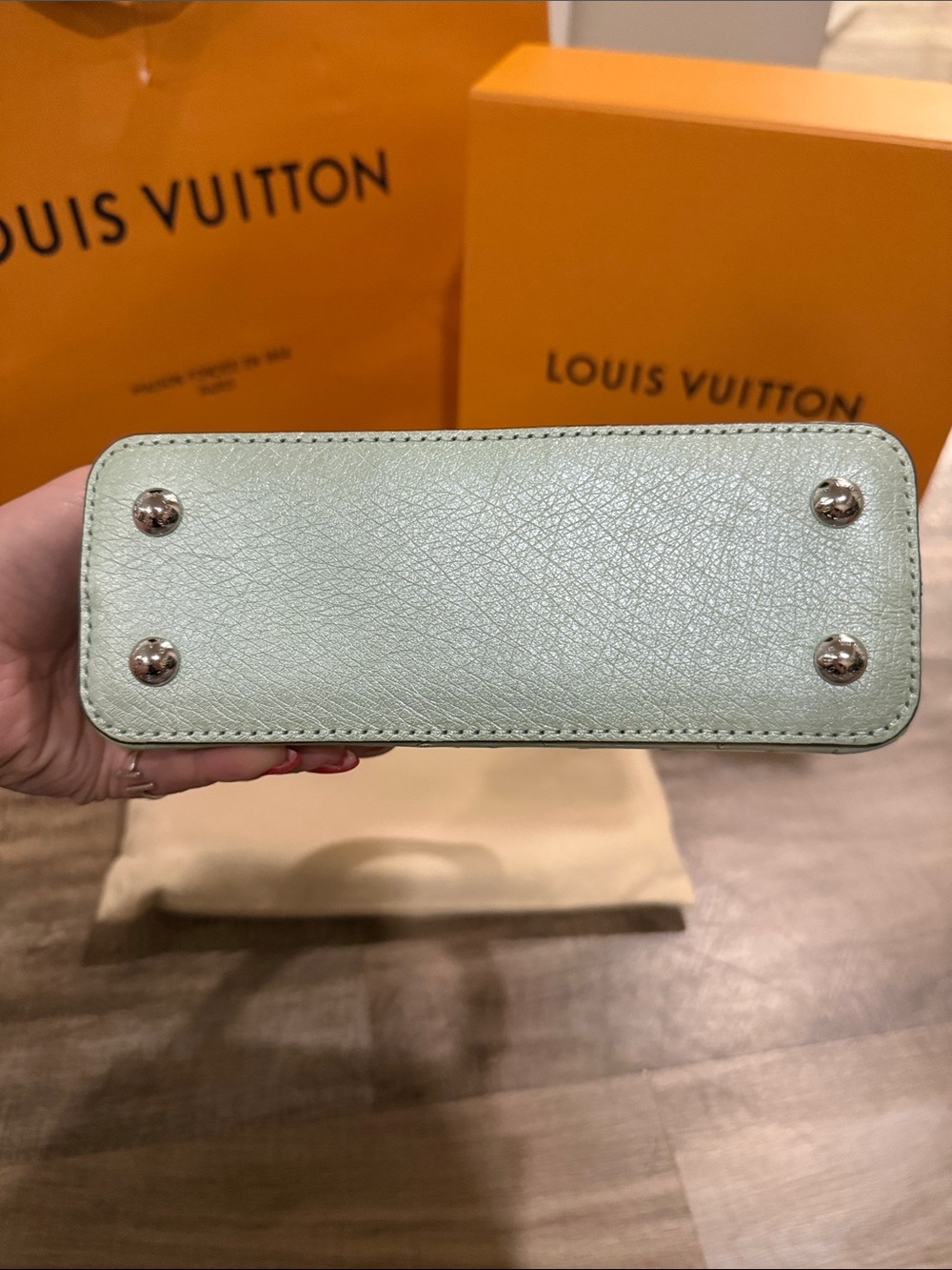 Louis Vuitton Capucines Mini Bag Exotic Ostrich in Mint Green - Picture 3 of 15